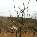 현진2농장 이미지