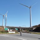 향우목장 이미지