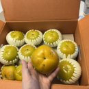 대성농장(3) 이미지