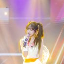 천사강아지 이미지