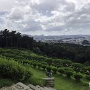 일산목장 이미지