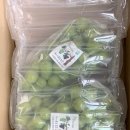 (주) 바톤