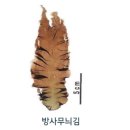 ARA기술행정사무소 이미지