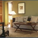 브라운카펫 이미지