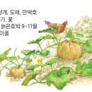 호박 이미지