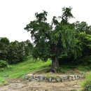 도당3리 이미지