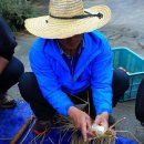 순정농장 이미지