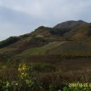 광치마을 이미지