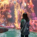 제주월드컵경기장 관광안내소 | 제주 아이랑 실내에서 즐기는 워터월드, 물놀이 체험형 미디어아트 (feat. 월드컵경기장 주차장)