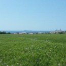 메아리민박 이미지