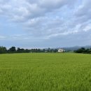 스테이어단 이미지