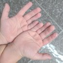 패밀리스파텔 | 충주 수안보 온천 가족탕 추천 패밀리스파텔