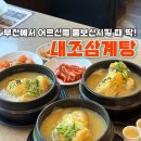 클래식 | 부천 중동 상동 삼계탕맛집 내조삼계탕 부천점 후기 초복 중복 말복 어르신몸보신 추천