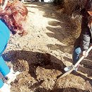 새서귀초등학교 이미지