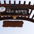 몽산포파인