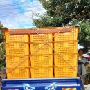 오서방네 농장 이미지