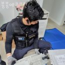크린에코시스템