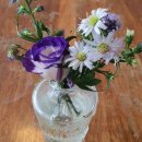 이주형 현실 상황  이미지