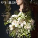 타마시플로라
