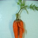 윤석농장 이미지