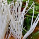 GS25 인천구월 이미지