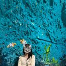 풍류사우나 | [국내여행/충주] 1박2일 가성비 여행 코스 | 후기 | 추천