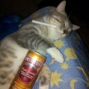 까치 뽑기방 이미지