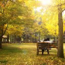 강촌뮤직펜션 이미지