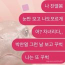 꽃품은 설기 | 남자 보고 옴 2️⃣