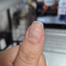 진배농장 | 콜드플레이 찐막콘 갔다와서 운전면허 따고 투표하고 아사이볼 만들어먹음