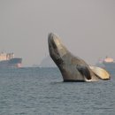 꿈바라기 이미지