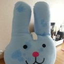 엔제리야 이미지