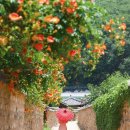 남평문씨본리세거지 주차장 안 이미지