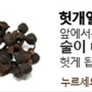 제원약초
