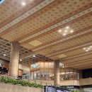 큰장전야시장 | 거북이 보러 대만 간 이야기 (1월 소류구)