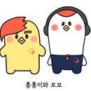 보보 이미지