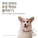 하샘펫푸드연구소 이미지