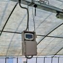 (주)와이즈팜 이미지