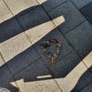 메아리마을 이미지