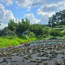 아주까리농장 이미지