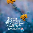 에클레시아(EKKLESIA) 이미지