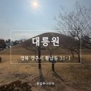 산책 | 경주 대릉원 산책 후기｜황리단길까지 이어지는 가벼운 실제 여행 코스