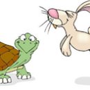 토끼와거북이 이미지