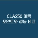250 이미지