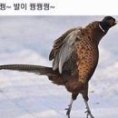 수린이 오늘 평영 발차기 배웠어요 이미지