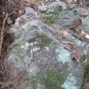 늑대와여우 이미지