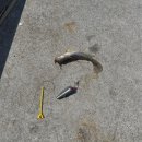 천리포항 | 태안 1박2일 여행 낚시 일기,서해 낚시 포인트 천리포항 , 매송휴게소