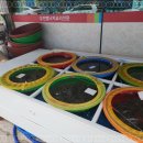 윤희네뻘낙지전문점 이미지