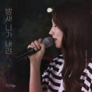 밤새 - 보령시 | 밤새