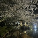 분수1리 이미지